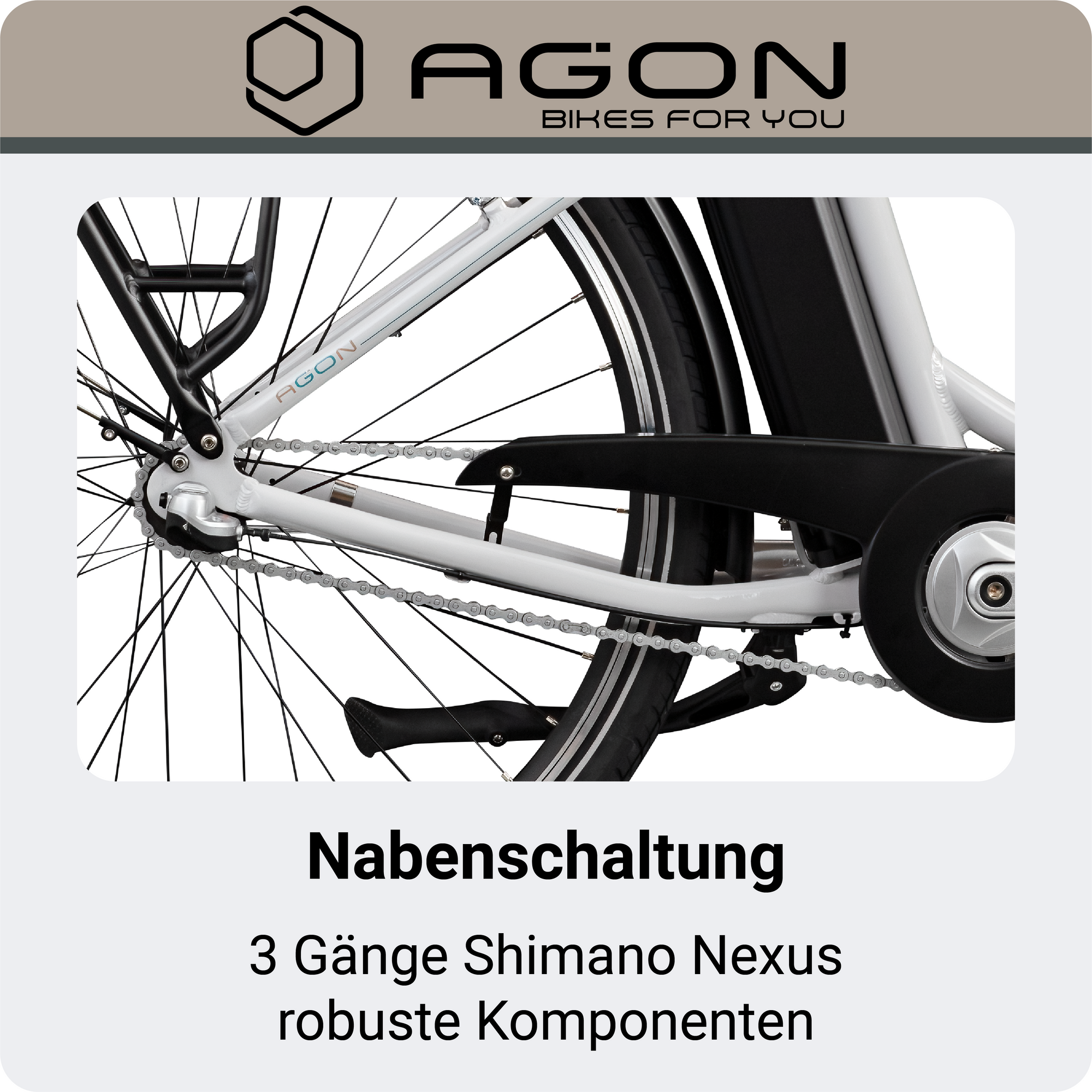 fahrradstnder fr wohnmobil garage Fahrradhalterung fr die Heckgarage  Tommy's Tools2Camp