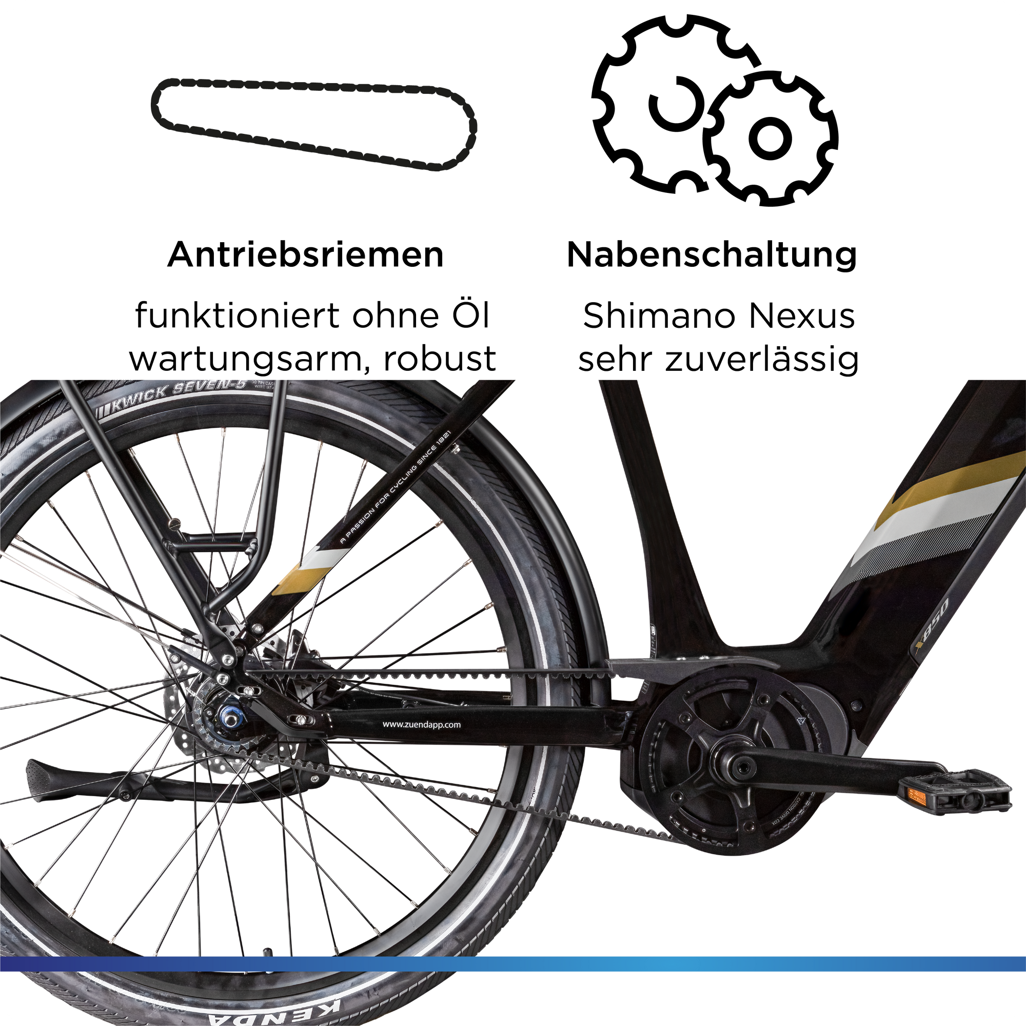 zelt hundeausstellung Angelzelt, Ausstellugszelt COOL PET, Fahrradständer aus Holz | olympiamotosports Color:nero/bianco/rosso